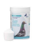 beetroot powder for pigeons